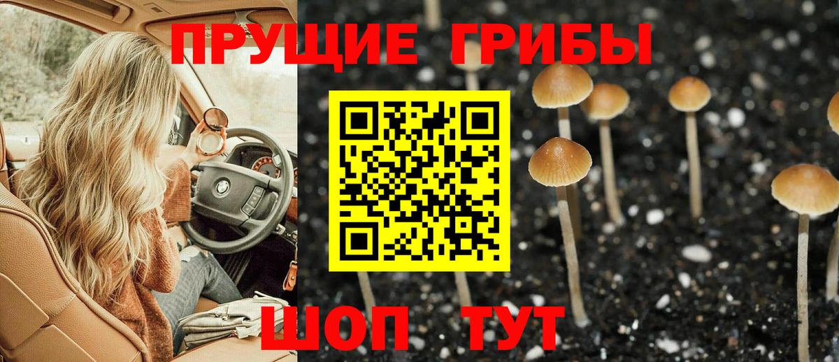 Псилоцибиновые грибы ЛСД Чита