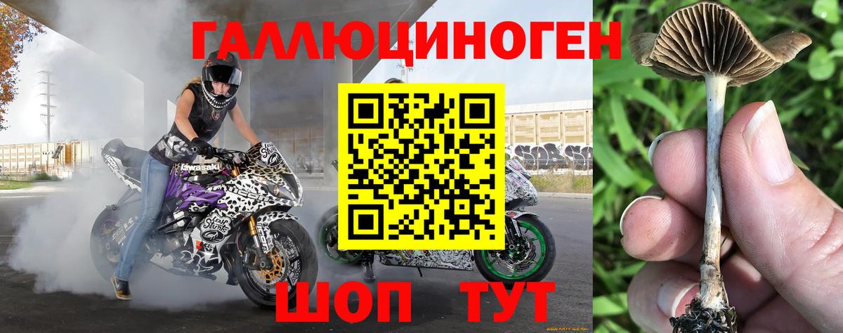 Псилоцибиновые грибы мицелий  Вход с VPN  Чита 